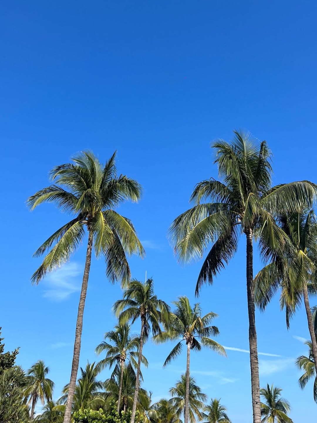 mis%20d%C3%ADas%20con%20ellos%20%F0%9F%8C%BA%F0%9F%90%AC%20(8).jpg 69f1fcf63b58a