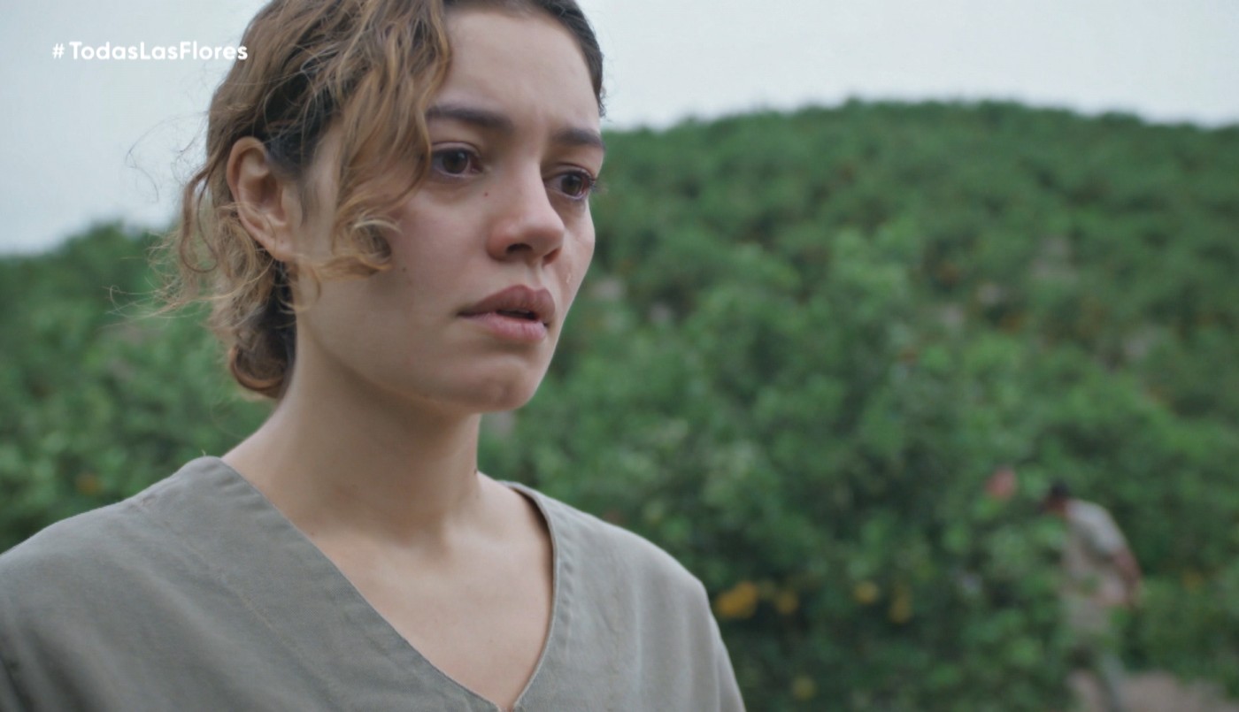 Capítulo 22 | Capítulos completos