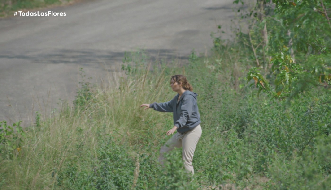 Capítulo 25 | Capítulos completos