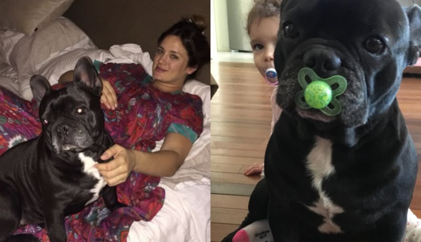 El doloroso mensaje de Paula Chaves tras la muerte de Moro: "Me ayudaste a perder el miedo" | Espectáculos