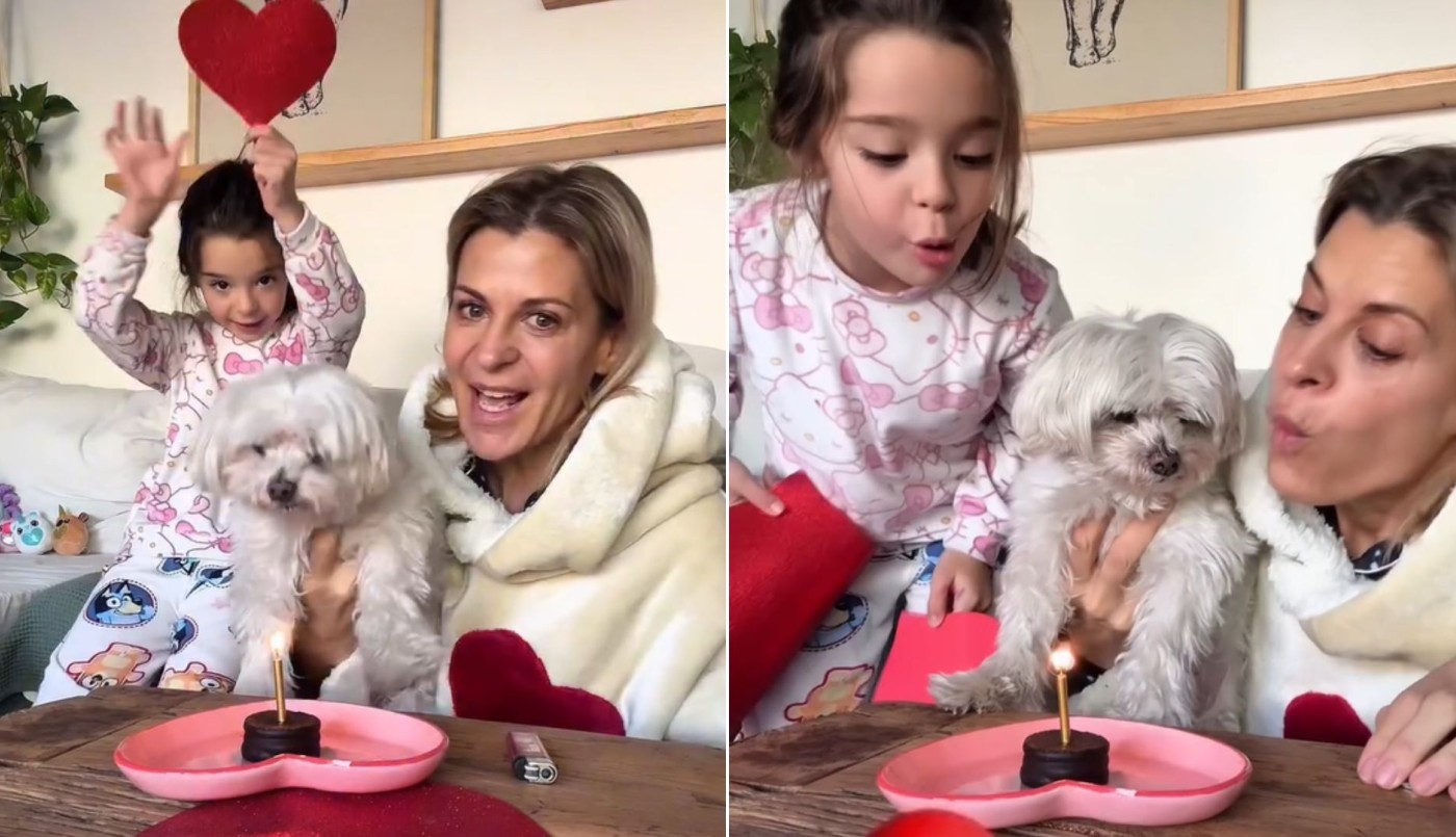 "14 años de amor incondicional": el conmovedor posteo de Eugenia Tobal por el cumpleaños de su perrito | Espectáculos