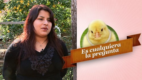 Elba: "A una tormenta le pondría Elbita" | Temporada 2