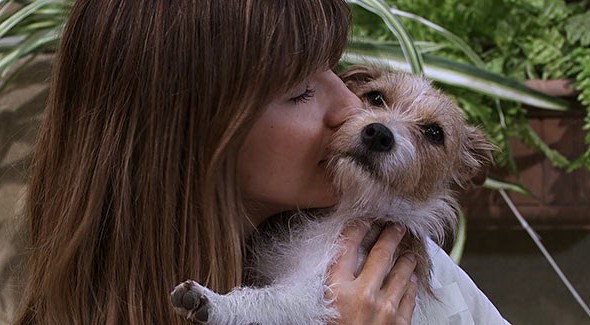 Capítulo 60 | Capítulos