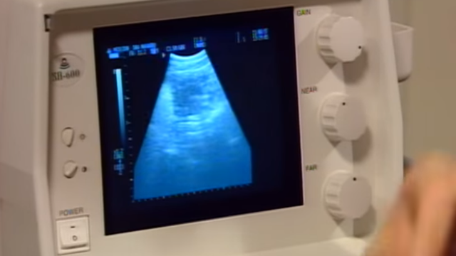 Capítulo 139 | Capítulos