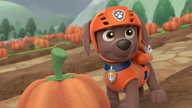 Los cachorros y la catástrofe de la limpieza | Paw Patrol