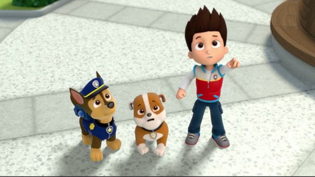 La catástrofe gatuna | Paw Patrol