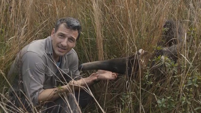 Programa 02 | Programas