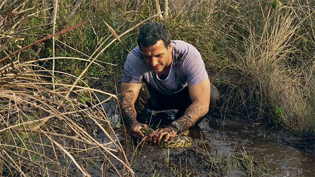 Programa 03 | Programas