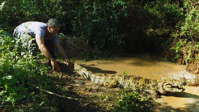 Programa 05 | Programas