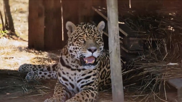 Programa 06 | Programas