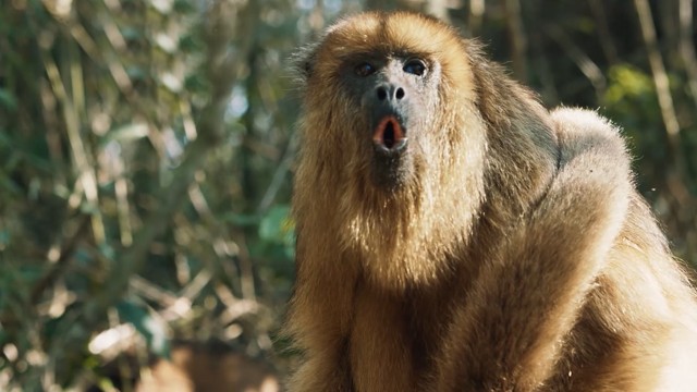 Programa 07 | Programas