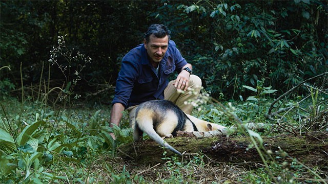 Programa 09 | Programas