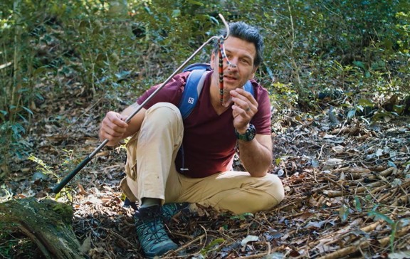 Programa 10 | Programas