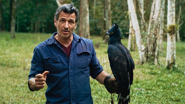 Programa 12 | Programas