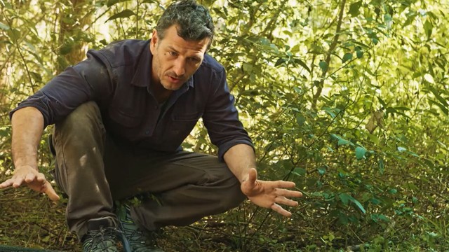 Programa 13 | Programas