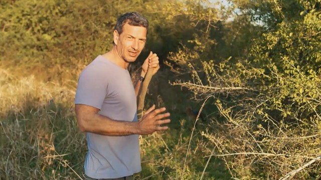 Programa 14 | Programas