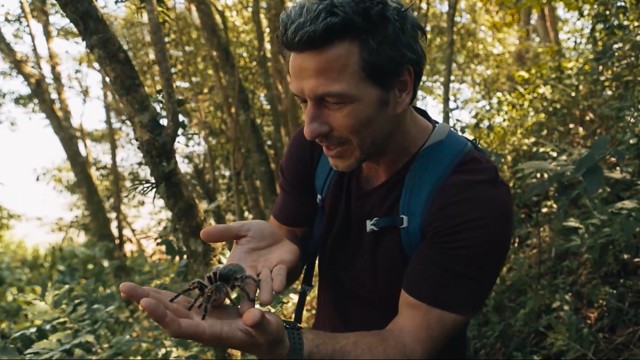 Programa 15 | Programas