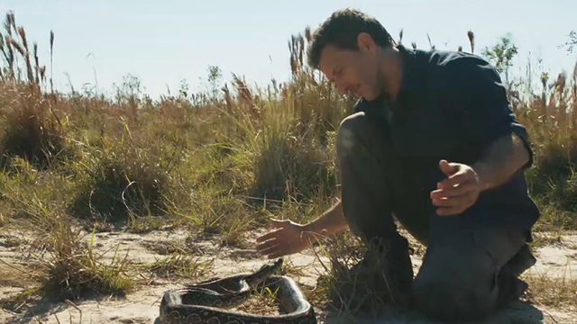 Programa 18 | Programas