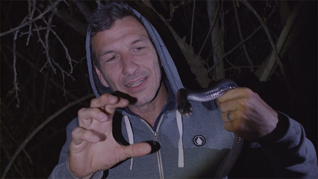 Programa 20 | Programas