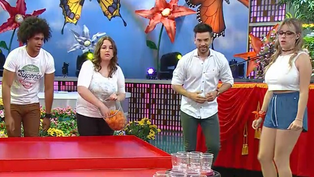 Programa 209 | Programas