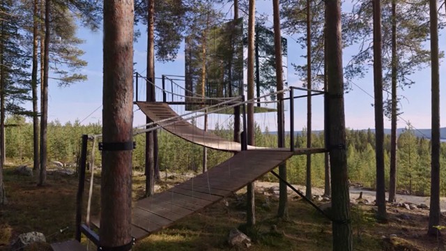 Programa 11 | Programas