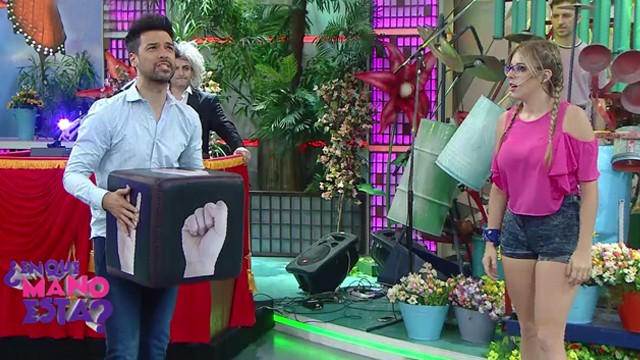 Programa 219 | Programas