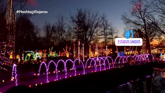 Programa 16 | Programas