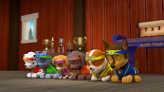 Cachorro Fu | Paw Patrol