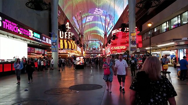 Programa 21 | Programas