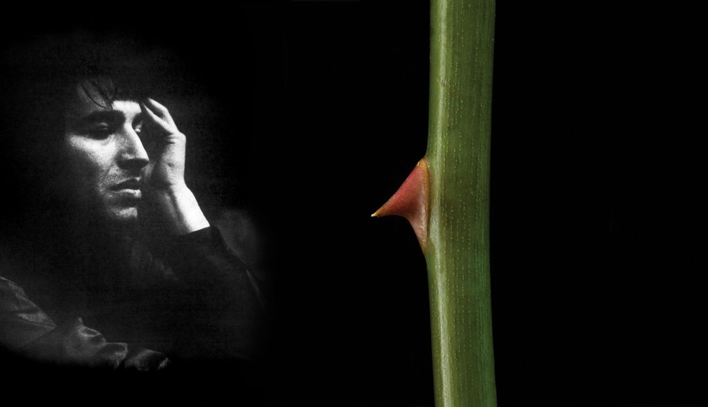 "Sandro Dúos", el nuevo álbum con los éxitos del Gitano | Noticias