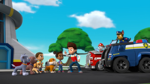 Jugando con los cachorros | Paw Patrol