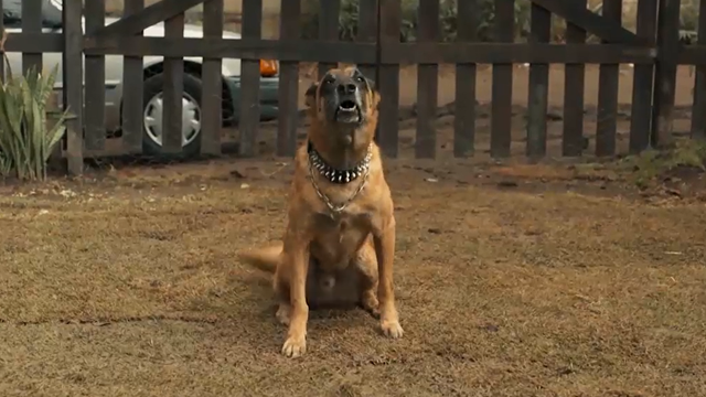 Un perro más que peligroso | Mejores momentos