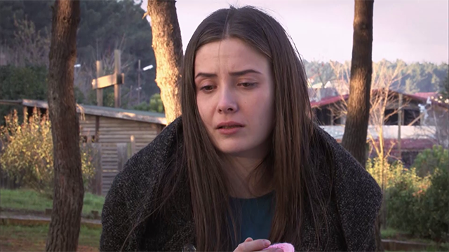 Capítulo 179 | Capítulos