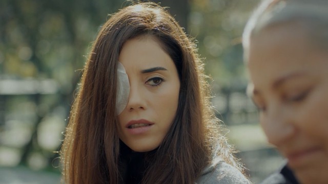 Capítulo 12 | Capítulos