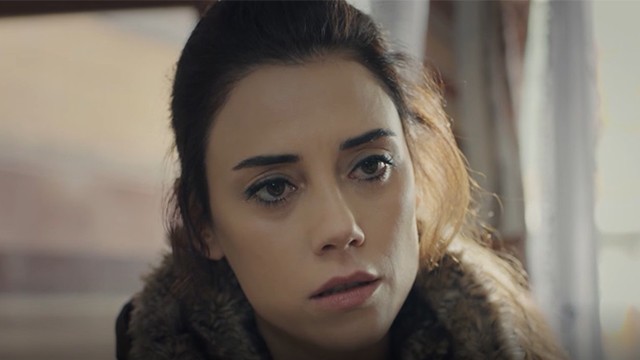 Capítulo 22 | Capítulos