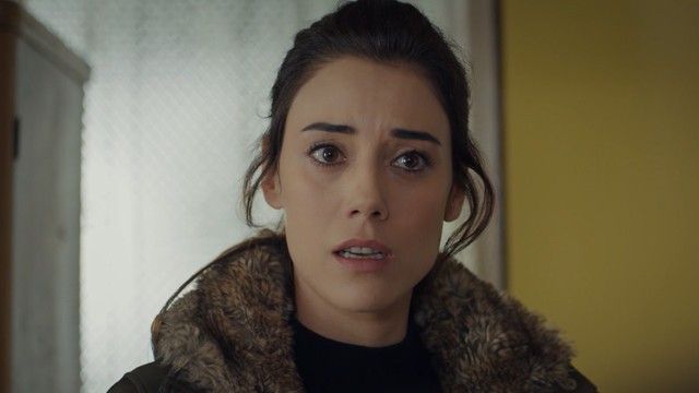 Capítulo 24 | Capítulos