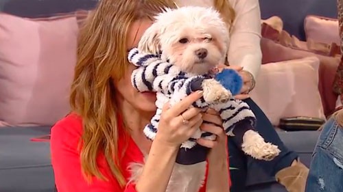 ¡Copito habló en vivo! | El diván de Vero