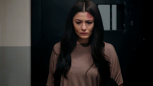 Capítulo 66 | Capítulos