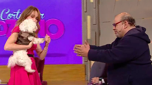 Copito casi muerde a Roly Serrano | El diván de Vero