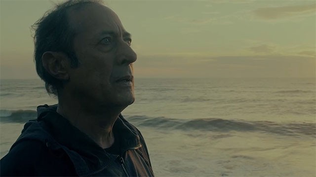 "Animal" de Armando Bo | Trailers