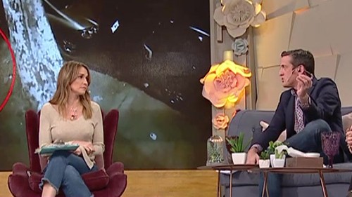 Una madre degolló a su hija de 10 años | Actualidad