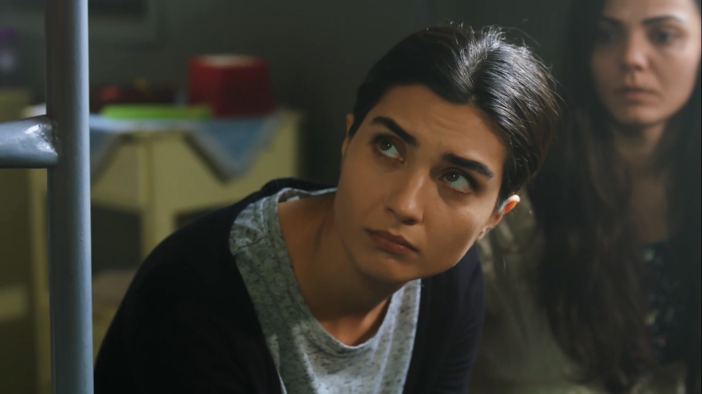 Capítulo 174 | Capítulos