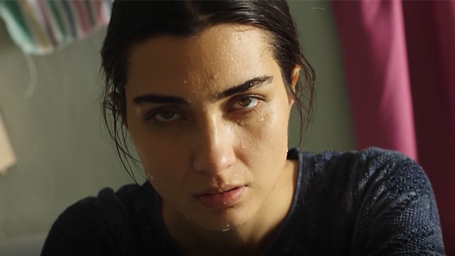 Capítulo 179 | Capítulos