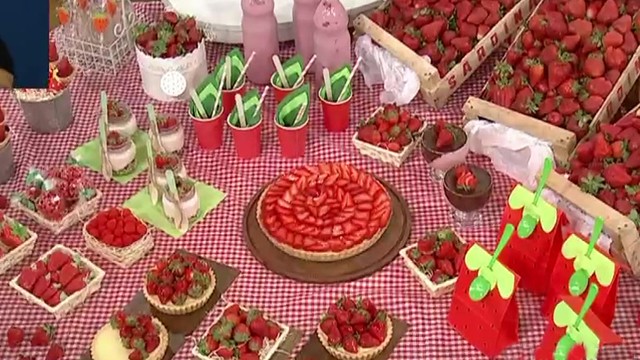 Programa 169 | Programas