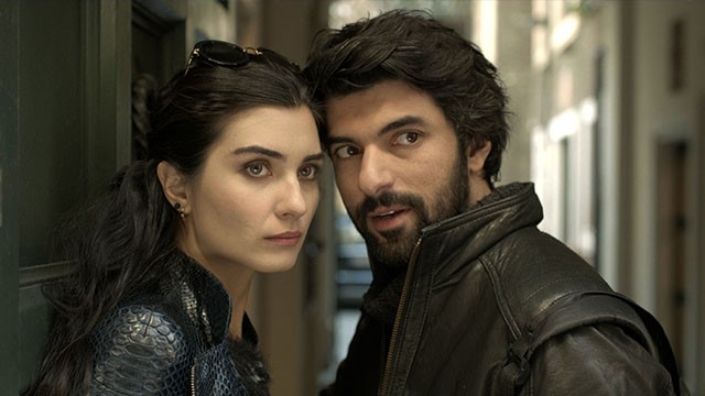 La historia de amor del capitán y la signorina | Resúmenes