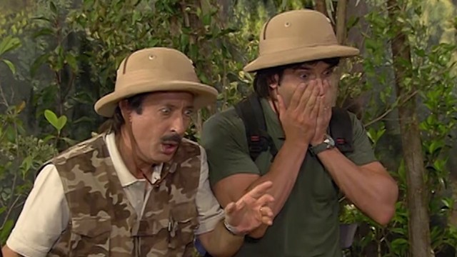 Tigre suelto | Programas