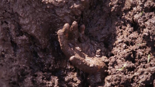 Capítulo 48 | Capítulos