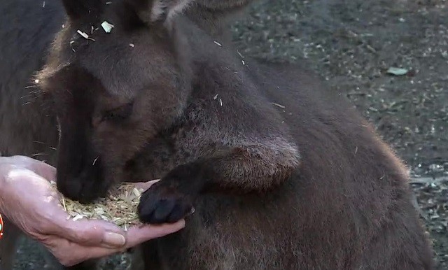 Susana, Marley y Mirko recorren un parque ecológico | Mejores Momentos
