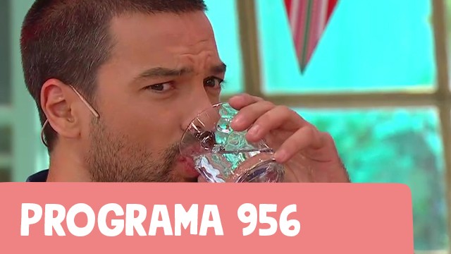 Programa 956 | Programas