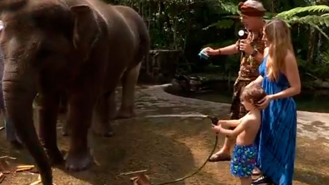 Marley, Jimena Barón y Momo bañaron elefantes en un ecoparque | Mejores Momentos